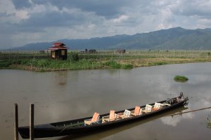 IMG_4617 (FILEminimizer)