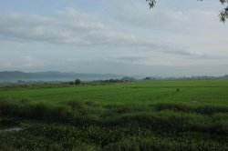 IMG_4633 (FILEminimizer)