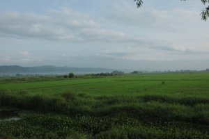 IMG_4633 (FILEminimizer)