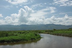 IMG_4698 (FILEminimizer)