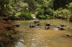 IMG_4706 (FILEminimizer)