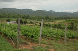 IMG_4733 (FILEminimizer)