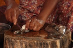 IMG_4745 (FILEminimizer)