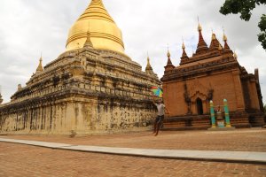 IMG_4776 (FILEminimizer)