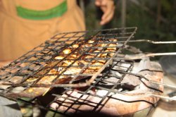 IMG_4797 (FILEminimizer)