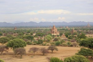 IMG_4846 (FILEminimizer)