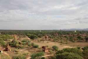 IMG_4847 (FILEminimizer)