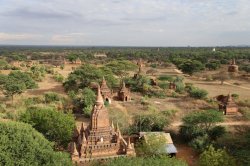 IMG_4848 (FILEminimizer)