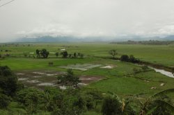 IMG_4869 (FILEminimizer)