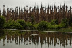 IMG_4904 (FILEminimizer)