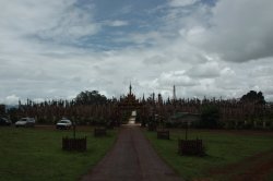 IMG_4909 (FILEminimizer)