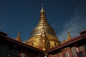 IMG_4993 (FILEminimizer)