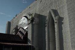 IMG_5046 (FILEminimizer)