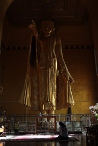 IMG_5050 (FILEminimizer)