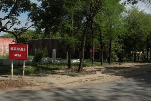 IMG_5090 (FILEminimizer)