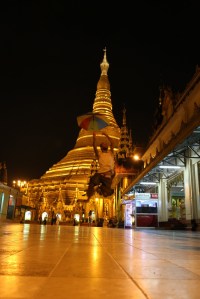 IMG_5333 (FILEminimizer)