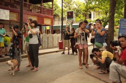 IMG_5373 (FILEminimizer)