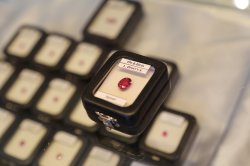 IMG_5373 (FILEminimizer)