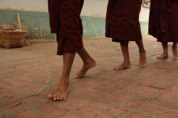 IMG_5379 (FILEminimizer)