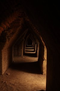 IMG_5596 (FILEminimizer)