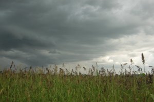 Contrastes IMG_5642 (FILEminimizer)