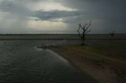 IMG_5710 (FILEminimizer)