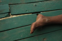 IMG_5803 (FILEminimizer)