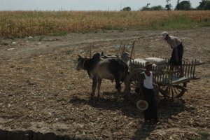 IMG_5814 (FILEminimizer)