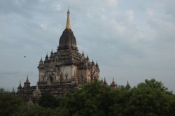 IMG_5847 - Copy (FILEminimizer)