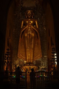 IMG_5879 - Copy (FILEminimizer)