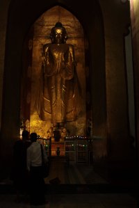 IMG_5892 - Copy (FILEminimizer)