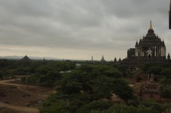 IMG_5906 - Copy (FILEminimizer)