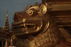 IMG_5949 - Copy (FILEminimizer)