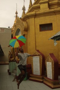 IMG_6078 - Copy (FILEminimizer)