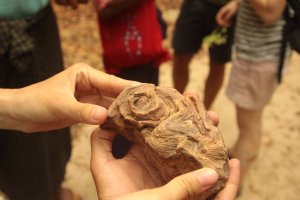 IMG_6115 (FILEminimizer)