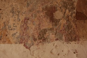 IMG_6137 - Copy (FILEminimizer)