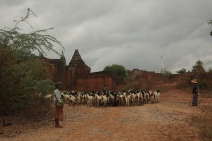 IMG_6272 - Copy (FILEminimizer)