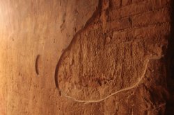 IMG_6355 - Copy (FILEminimizer)