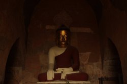 IMG_6417 - Copy (FILEminimizer)