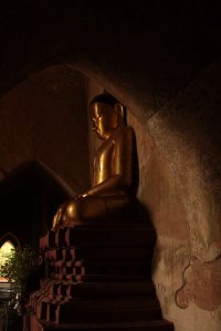 IMG_6421 - Copy (FILEminimizer)