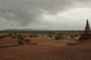 IMG_6452 - Copy (FILEminimizer)