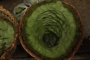 IMG_6481 (FILEminimizer)