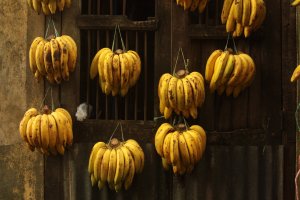 IMG_6489 (FILEminimizer)