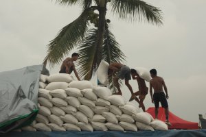 IMG_6529 (FILEminimizer)