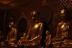 IMG_6600 (FILEminimizer)