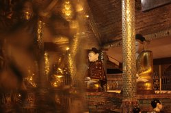 IMG_6608 (FILEminimizer)