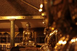 IMG_6616 (FILEminimizer)