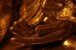 IMG_6620 (FILEminimizer)