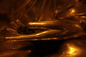 IMG_6629 (FILEminimizer)