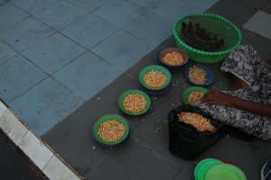 IMG_6731 (FILEminimizer)